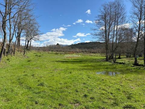 Quinta  Venda em Meruge,Oliveira do Hospital