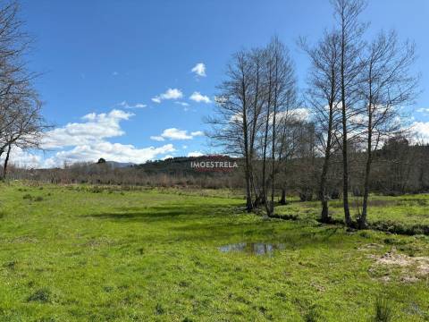 Quinta  Venda em Meruge,Oliveira do Hospital