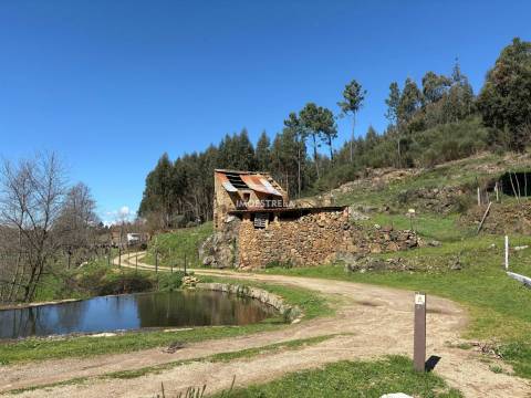 Quinta  Venda em Meruge,Oliveira do Hospital