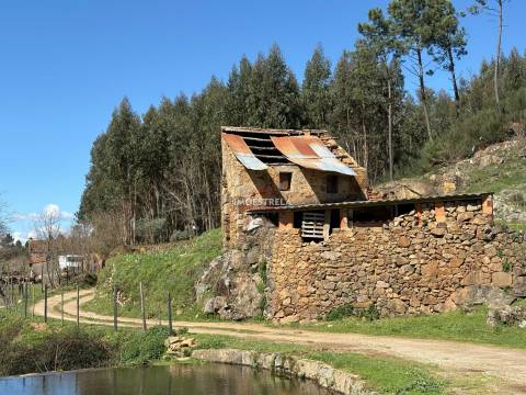 Quinta  Venda em Meruge,Oliveira do Hospital