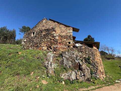 Quinta  Venda em Meruge,Oliveira do Hospital