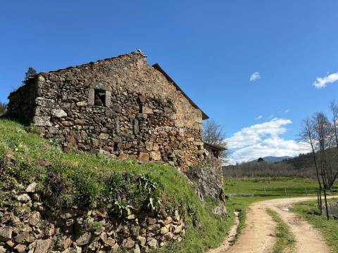 Quinta  Venda em Meruge,Oliveira do Hospital