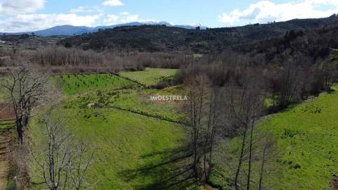 Quinta  Venda em Meruge,Oliveira do Hospital