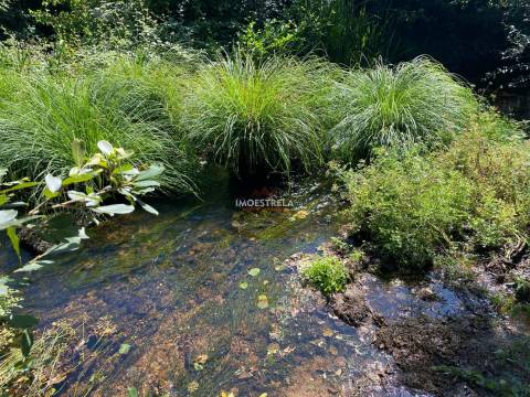 Quinta 3ha Rio Seia