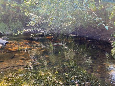 Quinta 3ha Rio Seia
