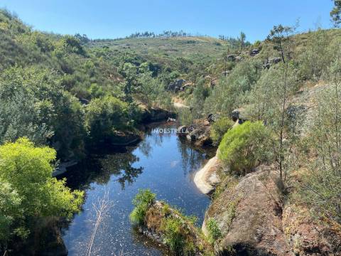 Quinta 3ha Rio Seia