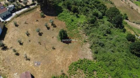 Quinta Folhadosa (construção)