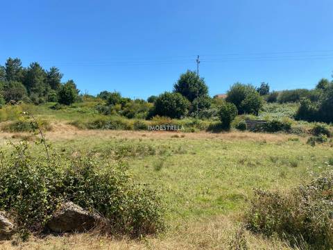 Quinta Folhadosa (construção)