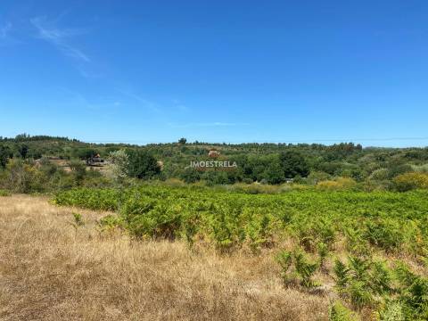 Quinta Folhadosa (construção)