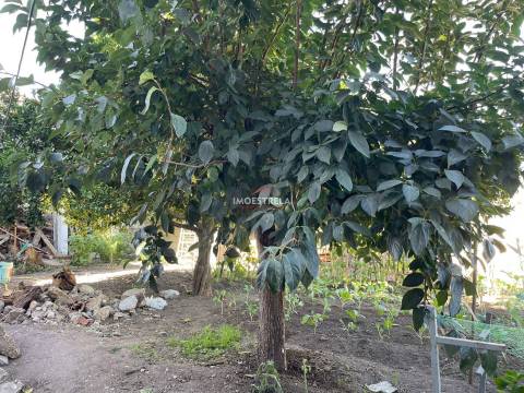 Moradia T4 Venda em Santa Marinha e São Martinho,Seia