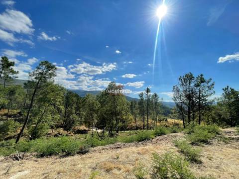 Propriedade Sr.ª Desterro - Cabeça Da Velha