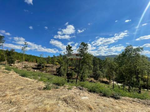 Propriedade Sr.ª Desterro - Cabeça Da Velha