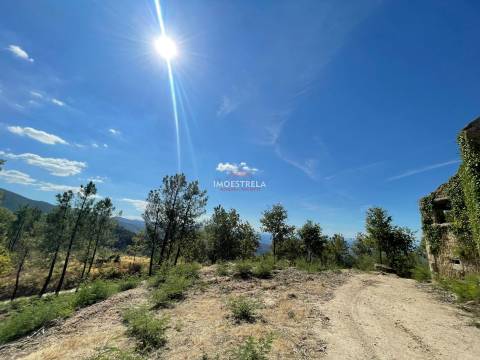 Propriedade Sr.ª Desterro - Cabeça Da Velha