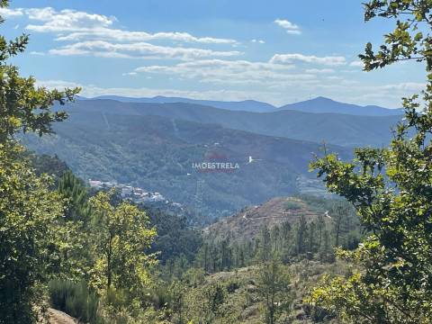 Propriedade Sr.ª Desterro - Cabeça Da Velha