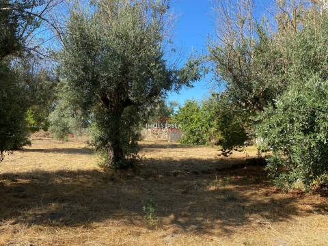 Moradia Pinhanços - Seia