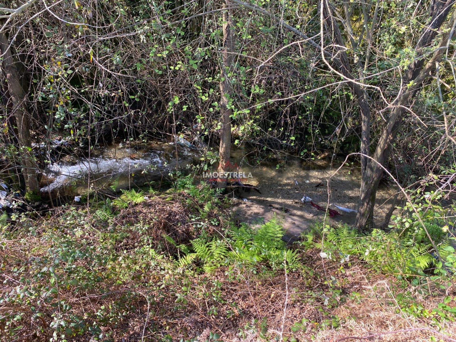 Terreno  Venda em Santa Marinha e São Martinho,Seia