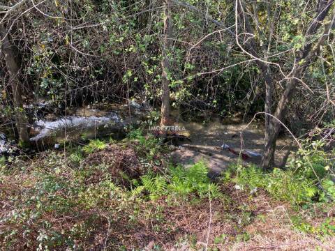 Terreno  Venda em Santa Marinha e São Martinho,Seia