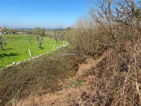 Terreno  Venda em Santa Marinha e São Martinho,Seia