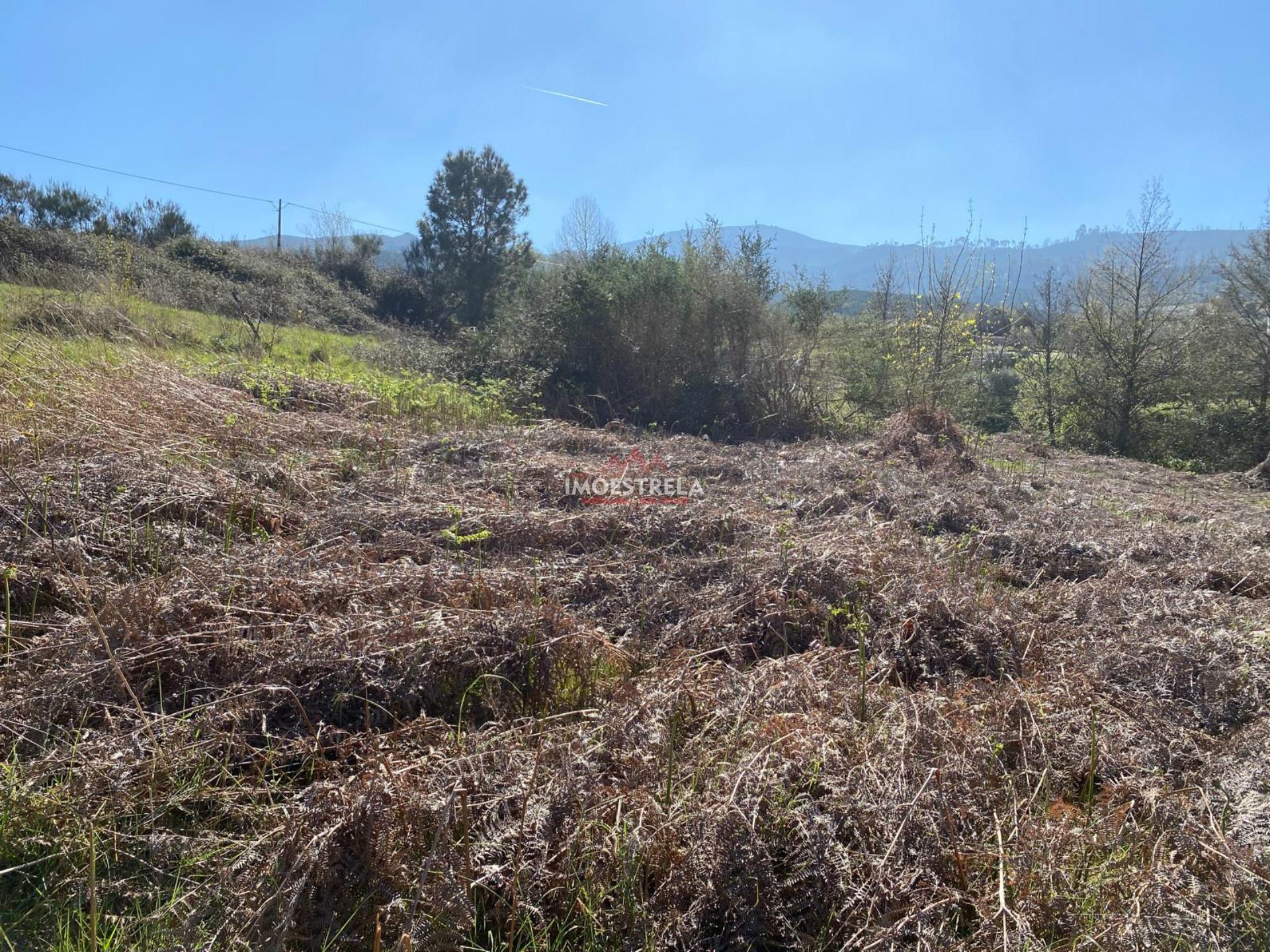 Terreno  Venda em Santa Marinha e São Martinho,Seia