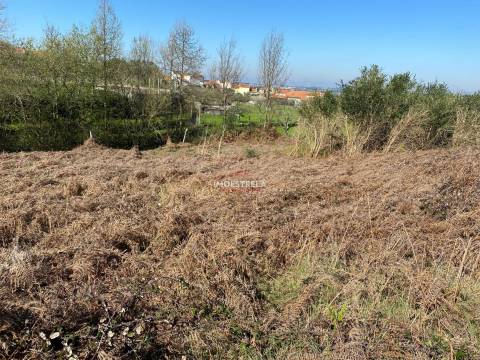 Terreno  Venda em Santa Marinha e São Martinho,Seia