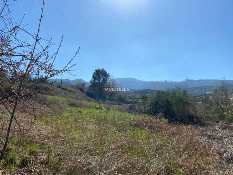 Terreno  Venda em Santa Marinha e São Martinho,Seia