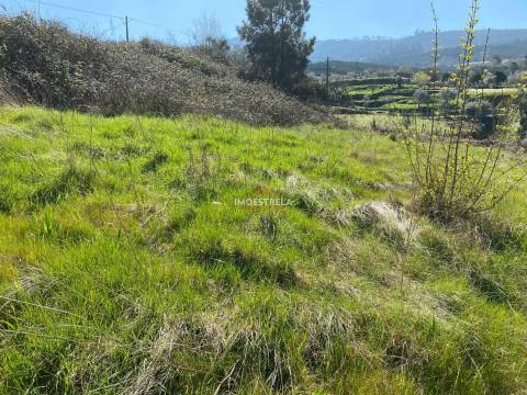 Terreno  Venda em Santa Marinha e São Martinho,Seia