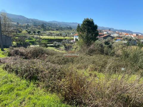 Terreno  Venda em Santa Marinha e São Martinho,Seia