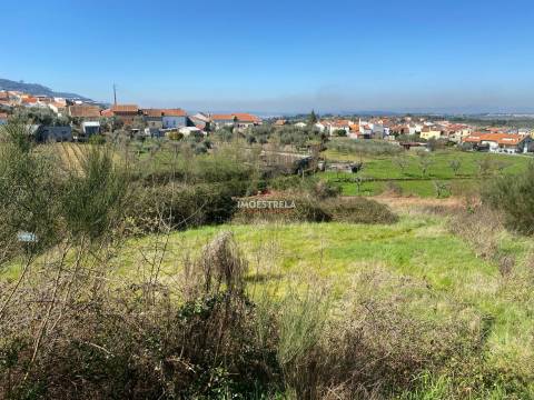 Terreno  Venda em Santa Marinha e São Martinho,Seia