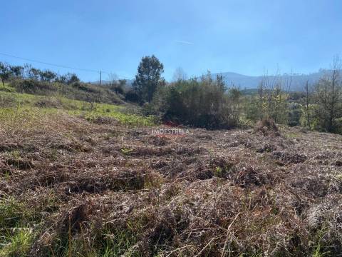 Terreno  Venda em Santa Marinha e São Martinho,Seia