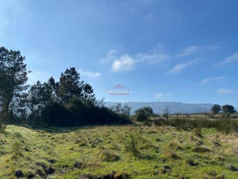 Terreno  Venda em Santa Marinha e São Martinho,Seia