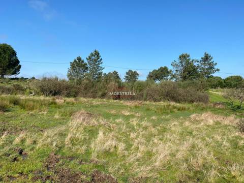 Terreno  Venda em Santa Marinha e São Martinho,Seia