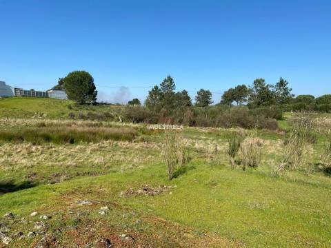 Terreno  Venda em Santa Marinha e São Martinho,Seia