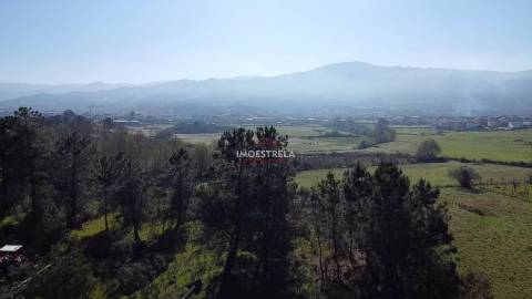 Terreno  Venda em Santa Marinha e São Martinho,Seia