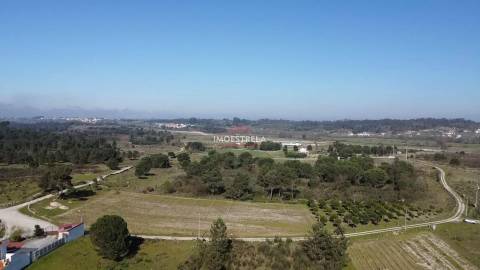 Terreno  Venda em Santa Marinha e São Martinho,Seia