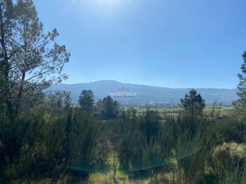 Terreno  Venda em Santa Marinha e São Martinho,Seia