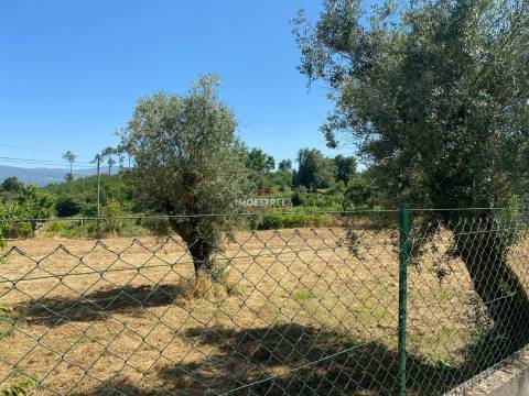 Fabulosa propriedade Tourais