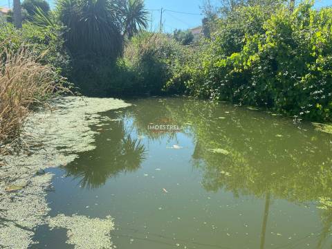Fabulosa propriedade Tourais