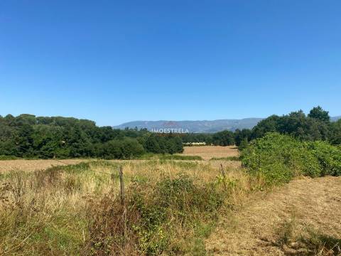 Fabulosa propriedade Tourais