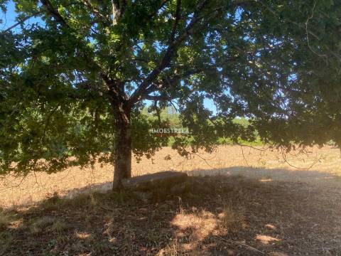 Fabulosa propriedade Tourais