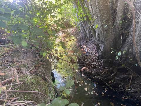 Fabulosa propriedade Tourais