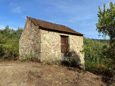 Quinta 3,5ha Sandomil