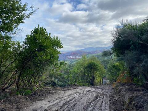 Quinta 3,5ha Sandomil