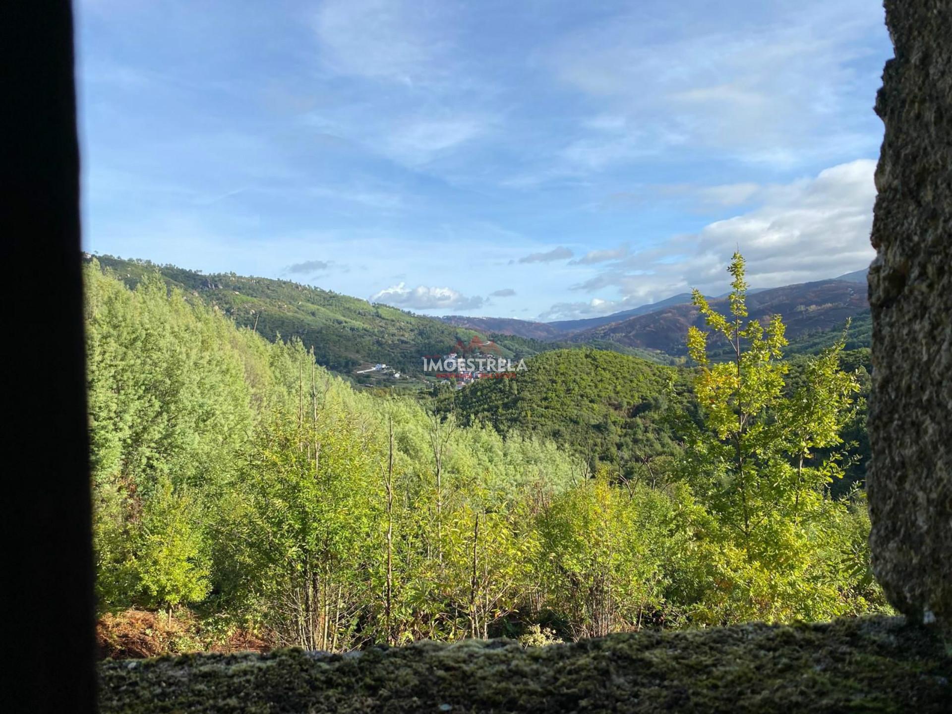 Quinta 3,5ha Sandomil