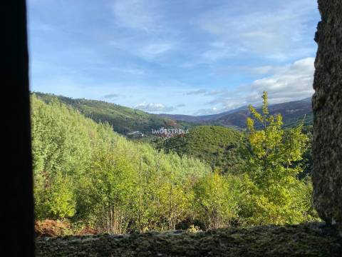 Quinta 3,5ha Sandomil