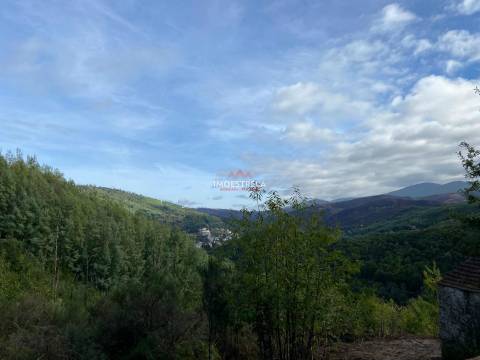 Quinta 3,5ha Sandomil