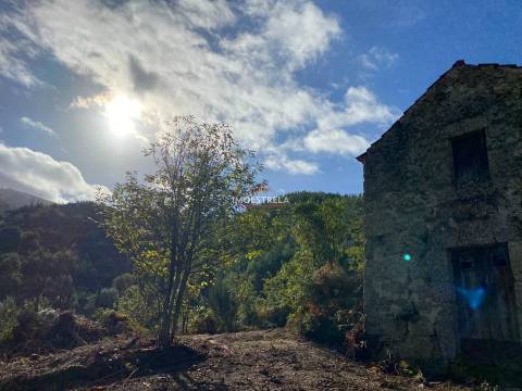 Quinta 3,5ha Sandomil