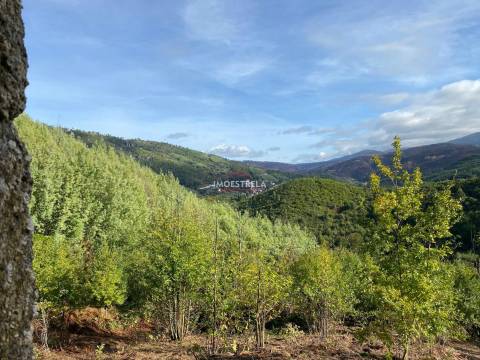 Quinta 3,5ha Sandomil