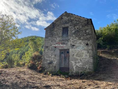 Quinta 3,5ha Sandomil