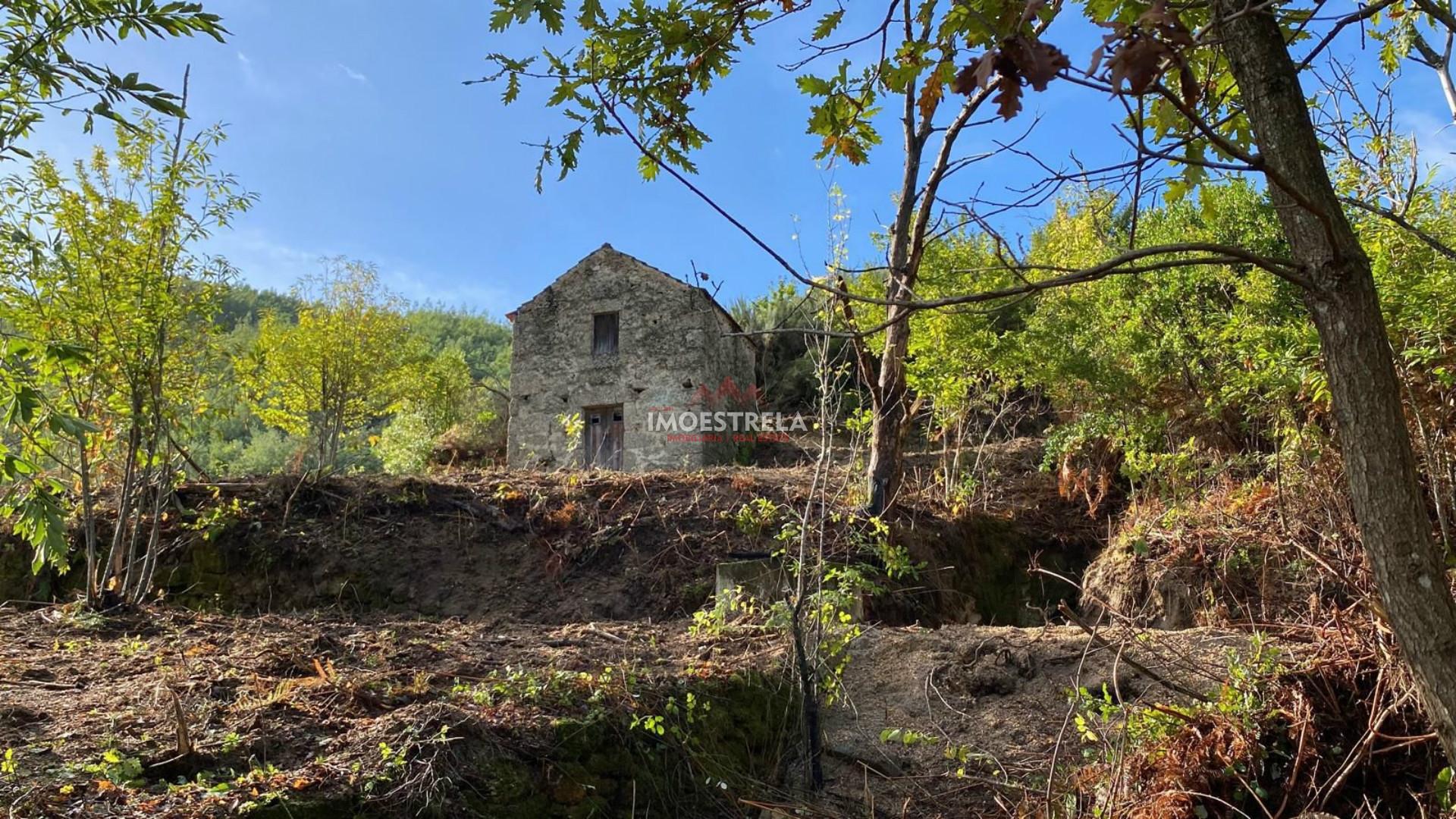 Quinta 3,5ha Sandomil