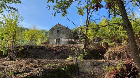 Quinta 3,5ha Sandomil